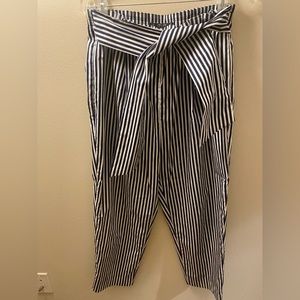 Zara Stripped Navy Blue and White Pants: L